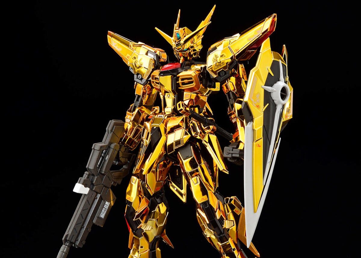 RG 1/144 #41 ORB-01 Akatsuki Gundam Oowashi Unit