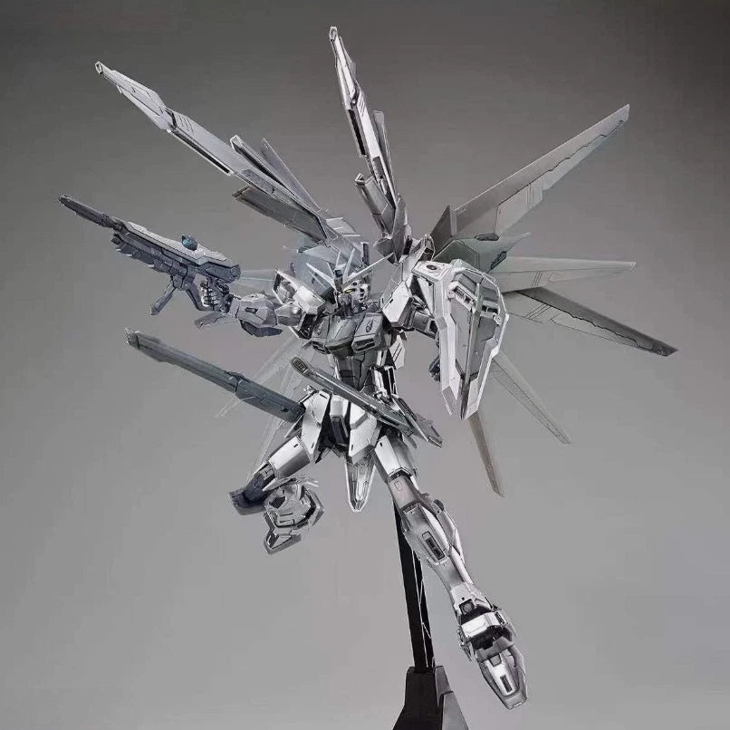 MG 1/100 Freedom Gundam Ver.2.0 Silver Coating