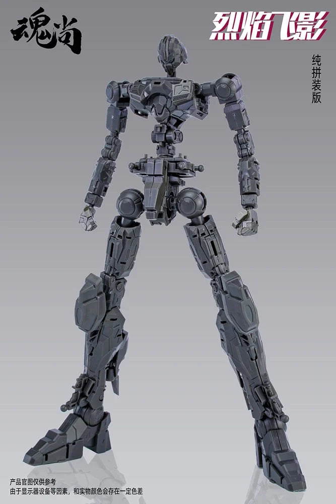 Fire Shadow Model Kit
